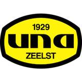 UDI 19